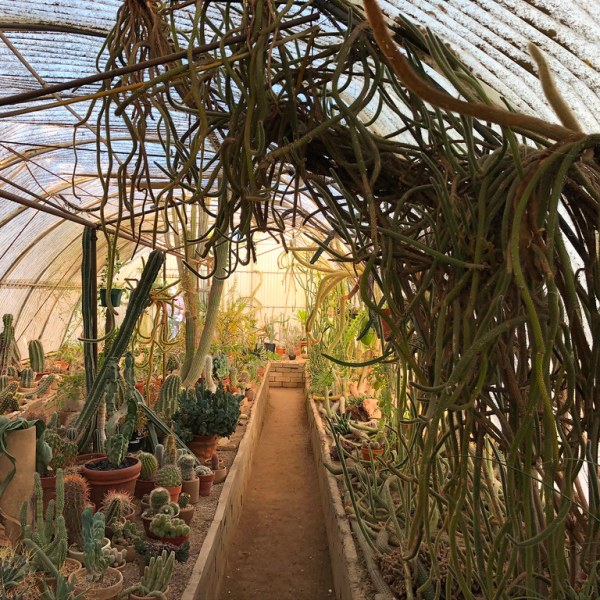 Magical Moorten Botanical Garden and&nbsp;Cactarium