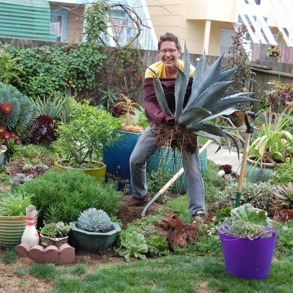 Friday Garden F*ck Ups: The&nbsp;Agave