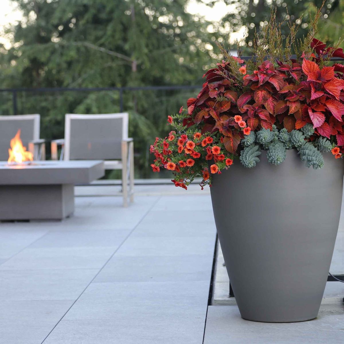 King Of Containers: Pot&nbsp;Incorporated